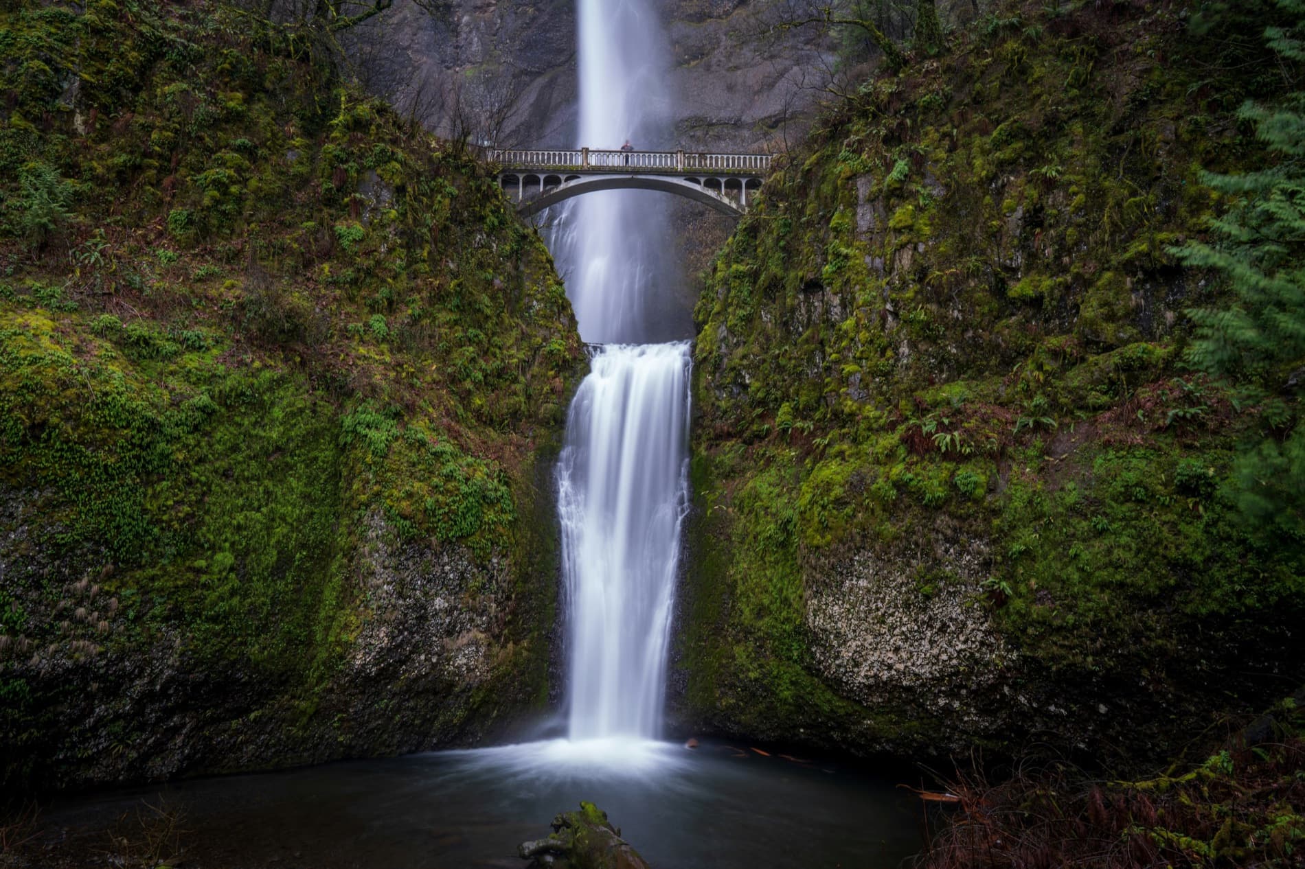 Multnomah Falls in the Columbia River Gorge