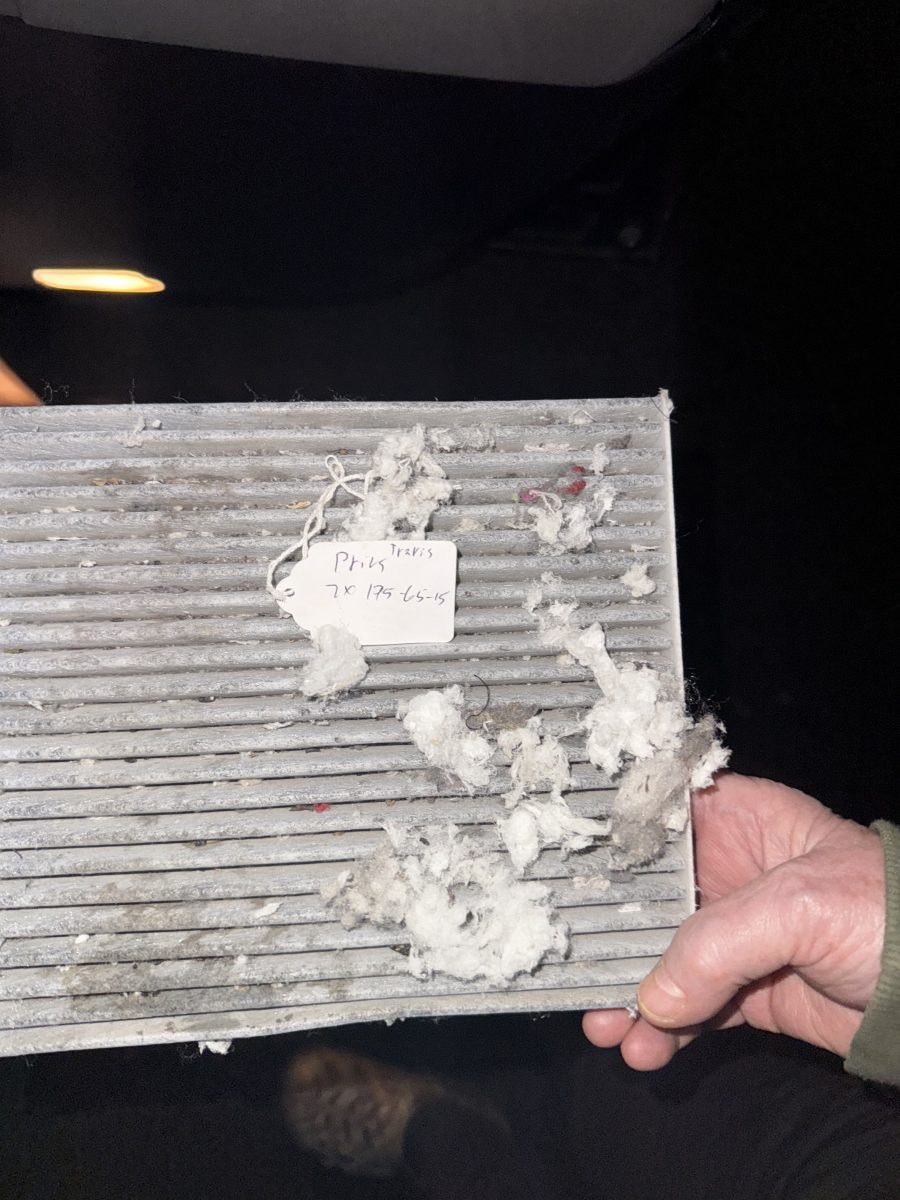 Cabin filter with nest material. mice in prius glove box