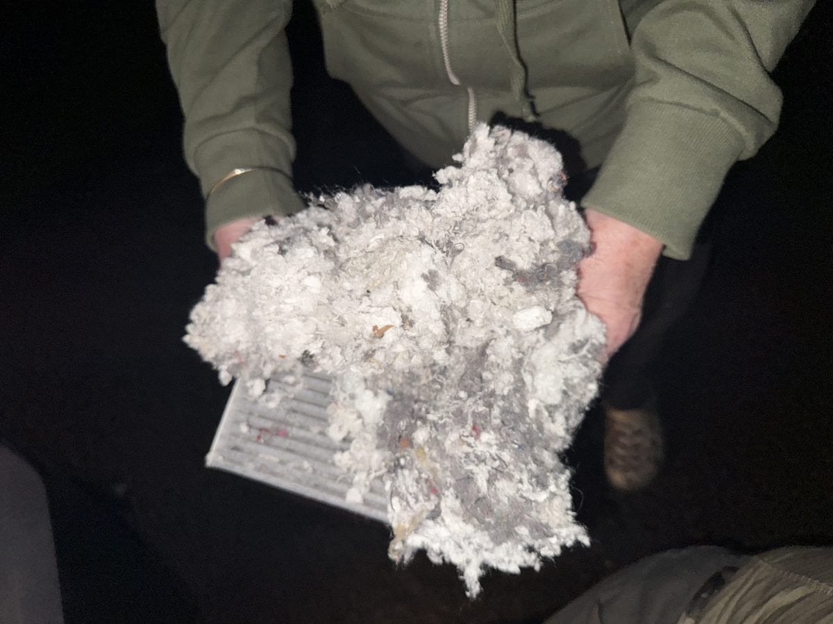 Look at all the messy nesting material! mice in prius glove box