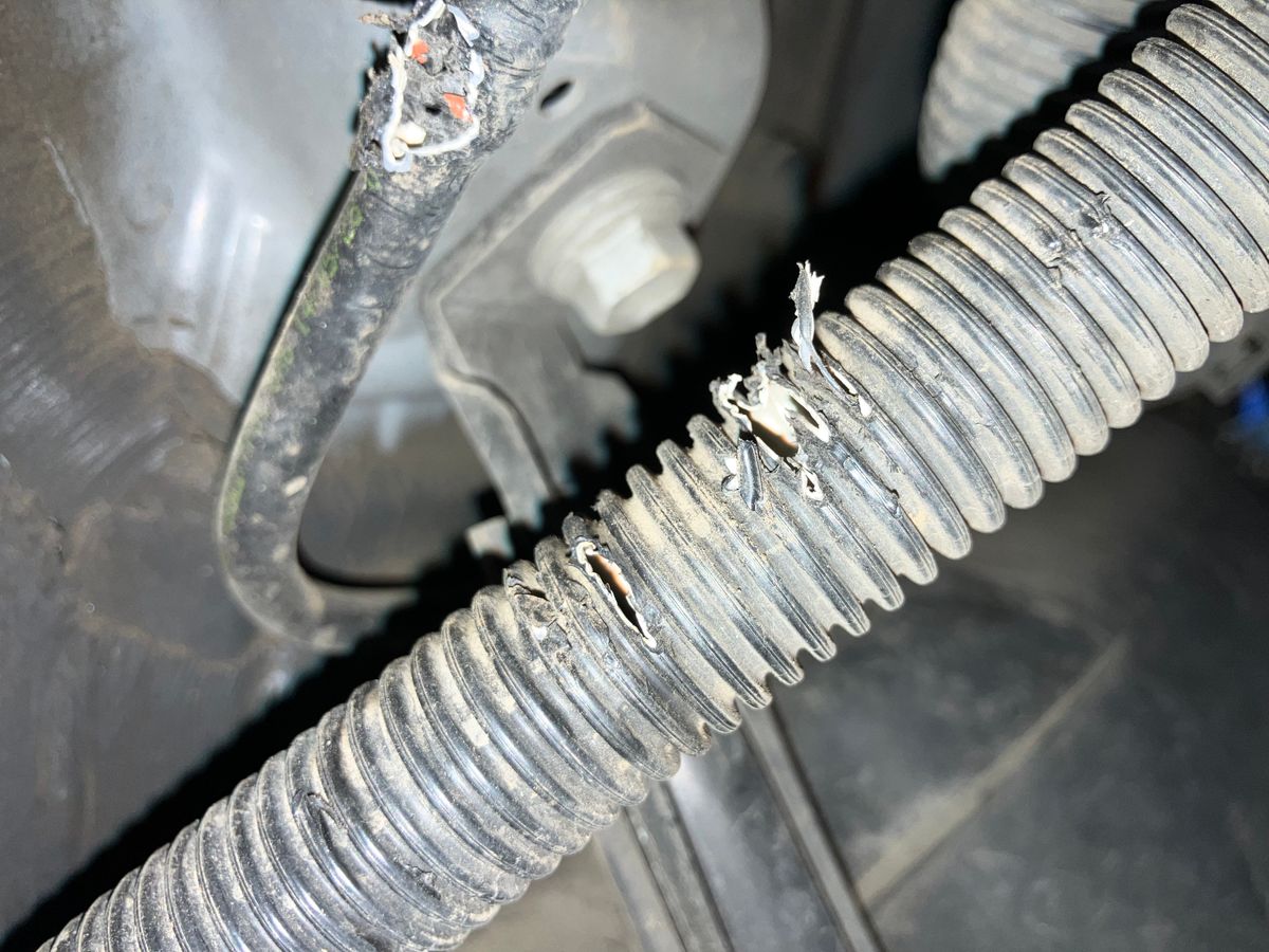 Diagnostic photo from EVAP diagnosis on a 2014 Toyota Prius